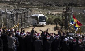 Buses carrying men from the Druze community in Syria arrive in the village of Majdal Shams in the occupied Golan Heights - March 14, 2025 (John Wessels/AFP via Getty Images)