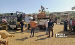 The al-Hal popular market in the city of Tafas in western Daraa - May 11, 2025 (Enab Baladi/Mahjoub al-Hashish)