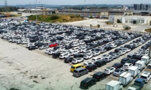 Arrival of cars from South Korea at the port of Tartus - May 18, 2025 (General Authority for Land and Sea Ports)